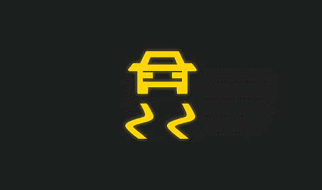 Electronic Stability Program Control